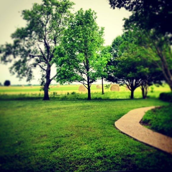 Meet your Posher, Heidi - Picture 2 of 2